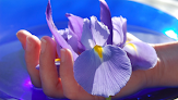 Alton Therapeutic Massage