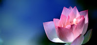 Negocio Healing Arts With Diane