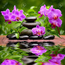 Negocio New Leaf Massage