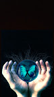 Negocio Obsidian Butterfly Massage