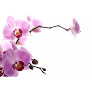 Negocio Sense Of Balance Massage Therapy And Reflexology